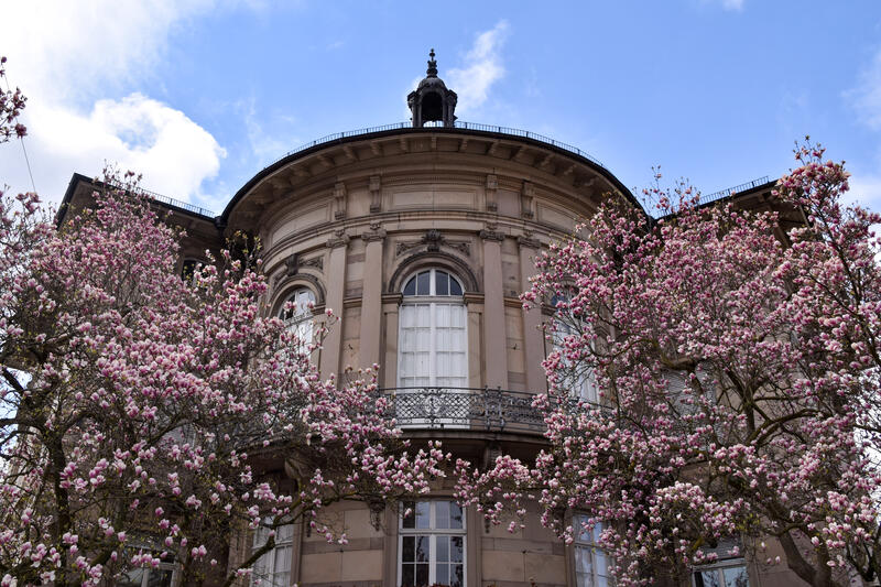 Ateliers zu vermieten: Im Dachgeschoss der St&auml;dtischen Galerie Villa Streccius stehen ab sofort vier Atelierr&auml;ume f&uuml;r K&uuml;nstlerinnen und K&uuml;nstler zur Verf&uuml;gung.