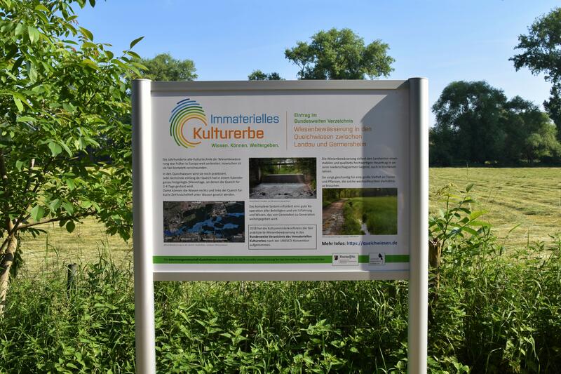 Zwei neue Info-Tafeln am Queichtalradweg in Landau sollen Interessierten n&auml;herbringen, was es mit der Wiesenbew&auml;sserung in den Queichwiesen auf sich hat.