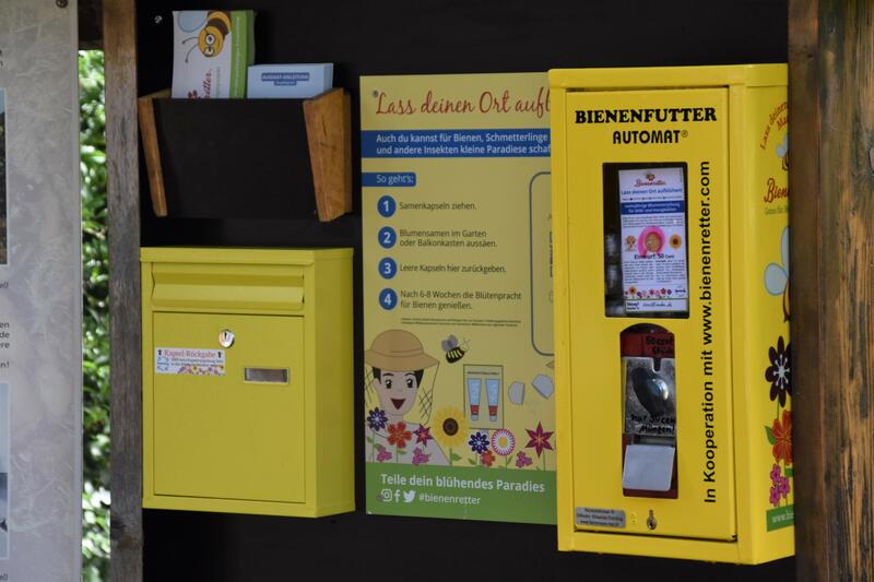Im Zoo Landau ist eine neue kleine Attraktion eingezogen – und zwar ein Bienenfutterautomat. 