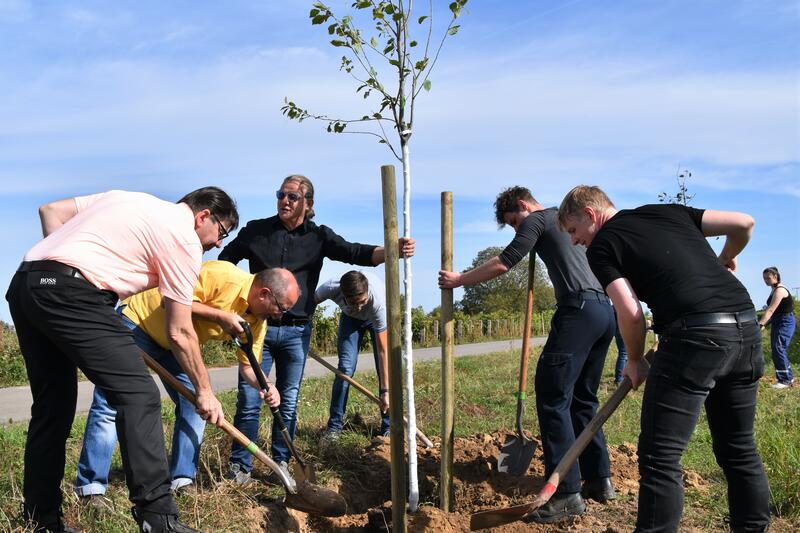 Mit viel Unterst&uuml;tzung pflanzten OB Thomas Hirsch (l.) und Umweltdezernent Lukas Hartmann (r.) beim #Einheitsbuddeln B&auml;ume zwischen Arzheim und der Wollmesheimer H&ouml;he. 