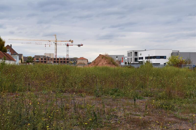 Als drittletztes Grundst&uuml;ck der Paul-von-Denis-Stra&szlig;e geht das Baufeld 36 an den Markt. 