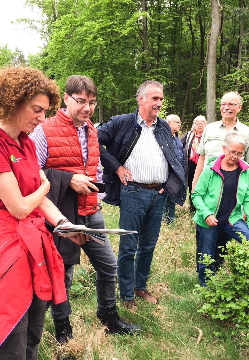 Angef&uuml;hrt von Oberb&uuml;rgermeister Thomas Hirsch (2.v.l.) und Forstdezernent Rudi Klemm (3.v.l.) informierte sich eine Delegation aus Vertreterinnen und Vertretern des Stadtrats und der Verwaltung vor Ort &uuml;ber die Situation im Landauer Stadtwald. Begleitet w