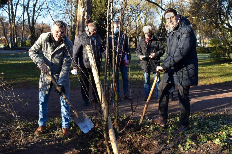 Dirk Wollenschl&auml;ger (l.) und OB Thomas Hirsch sowie im Hintergrund mehrere Mitglieder des Freundeskreis-Vorstands beim Pflanzen eines Zierapfels im Landauer Schillerpark. 