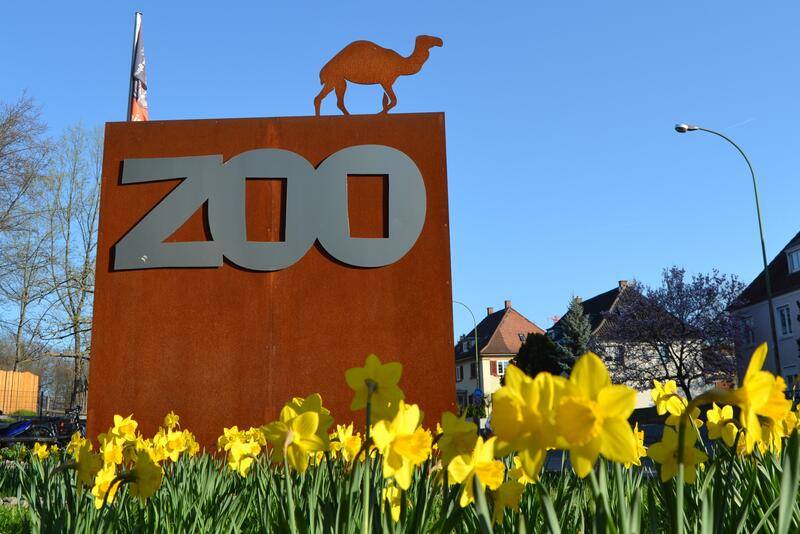 Alles neu macht der M&auml;rz: Ab sofort kann der Zoo Landau auch wieder mit einem negativen Testergebnis besucht werden.