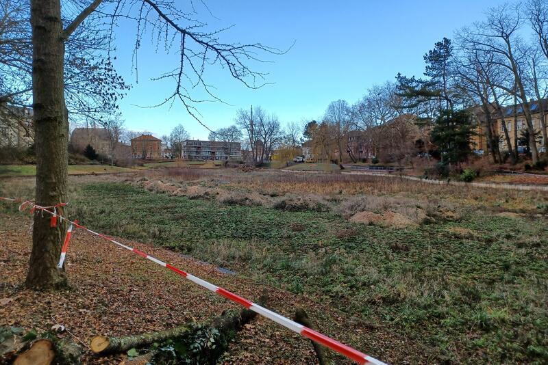 Vor rund einem Jahr wurde der Landauer Schwanenweiher trockengelegt; jetzt soll er ausgebaggert und neu hergestellt werden.