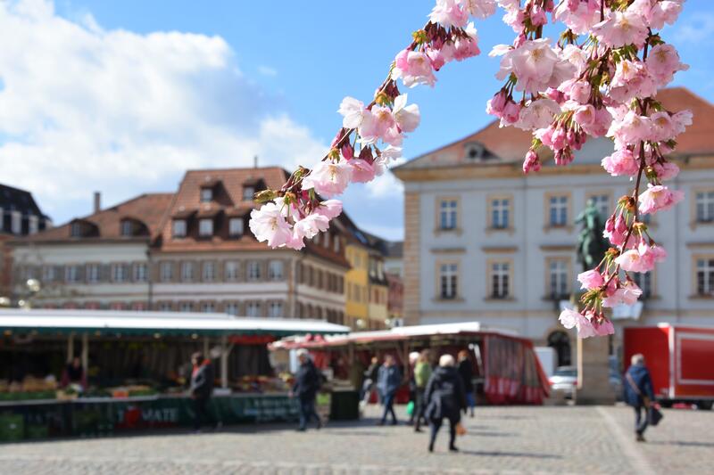 Der Landauer Wochenmarkt kehrt am 23. April auf den Rathausplatz zur&uuml;ck. 