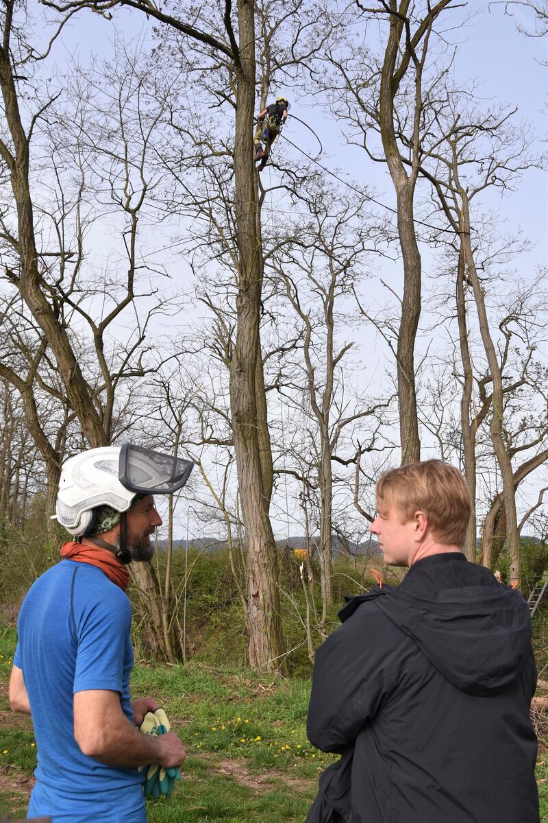 Umweltdezernent Lukas Hartmann (r.) im Gespr&auml;ch mit Baumpfleger Joachim Osterheld beim Termin zur Aufh&auml;ngung der neuen Eichh&ouml;rnchenbr&uuml;cke an der Ortseinfahrt Wollmesheim. 