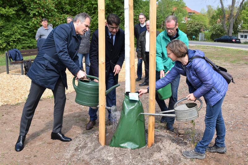Landrat Dietmar Seefeldt, Oberb&uuml;rgermeister Thomas Hirsch, Bernd Schmidt vom Freundeskreis Bl&uuml;hendes Landau e.V. und Sabine Klein, Abteilungsleiterin Gr&uuml;nfl&auml;chen der Stadt Landau, (von links nach rechts) gie&szlig;en eine neu gepflanzte Winterlinde am Corona-Pl